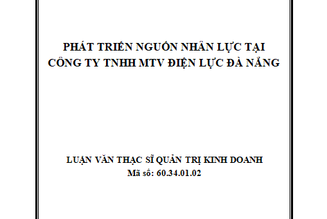 Phát triển nguồn nhân lực tại Công ty TNHH MTV Điện lực Đà Nẵng