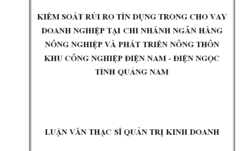 Kiểm soát rủi ro tín dụng trong cho vay doanh nghiệp tại chi nhánh NHNo&PTNT KCN Điện Nam - Điện Ngọc, tỉnh Quảng Nam