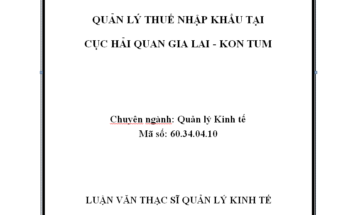 Quản lý thuế nhập khẩu tại Cục Hải quan Gia Lai tỉnh Kon Tum