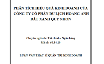 Phân tích hiệu quả kinh doanh của Công ty Cổ Phần Du Lịch Hoàng Anh Đất Xanh Quy Nhơn