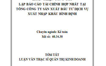 Hoàn thiện công tác lập báo cáo tài chính hợp nhất tại Tổng công ty sản xuất đầu tư dịch vụ xuất nhập khẩu Bình Định