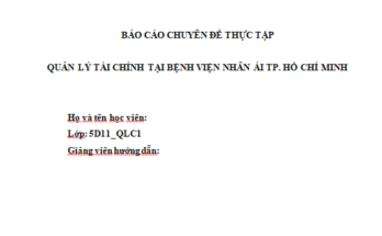 Quản lý tài chính tại Bệnh viện Nhân Ái TP. Hồ Chí Minh