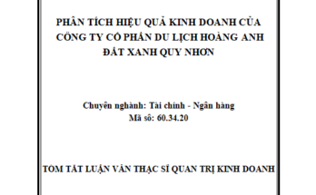 Phân tích hiệu quả kinh doanh của Công ty Cổ Phần Du Lịch Hoàng Anh Đất Xanh Quy Nhơn