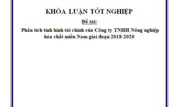Phân tích báo cáo tài chính của CÔNG TY TNHH NÔNG NGHIỆP HÓA CHẤT MIỀN NAM GIAI ĐOẠN 2018-2020
