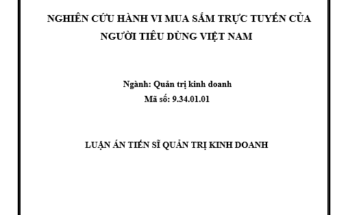 Nghiên cứu hành vi mua sắm trực tuyến của người tiêu dùng Việt Nam