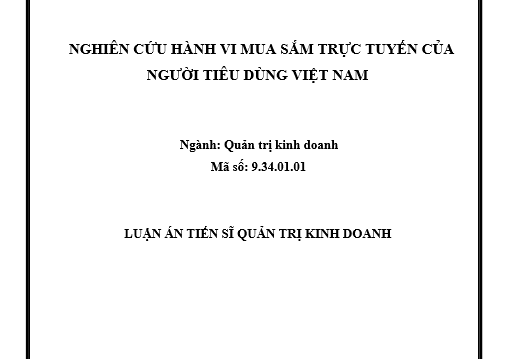 Nghiên cứu hành vi mua sắm trực tuyến của người tiêu dùng Việt Nam