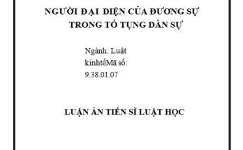 Người đại diện của đương sự trong tố tụng dân sự Việt Nam hiện nay