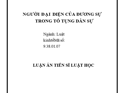 Người đại diện của đương sự trong tố tụng dân sự Việt Nam hiện nay